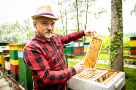 Pasieka „Miody Gór Opawskich”